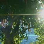 Ivo's Garden Apartment, Near The Old Town * Dubrovník