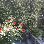 Apartmán Ivo's Garden Apartment, Near The Old Town Dubrovník