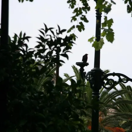 Apartmán Ivo's Garden Apartment, Near The Old Town *