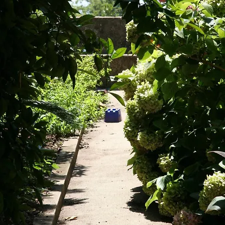 Ivo's Garden Apartment, Near The Old Town Lägenhet
