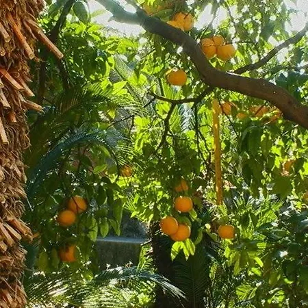 Ivo's Garden Apartment, Near The Old Town دوبروفينك