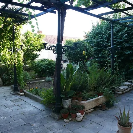 Ivo's Garden Apartment, Near The Old Town Lägenhet