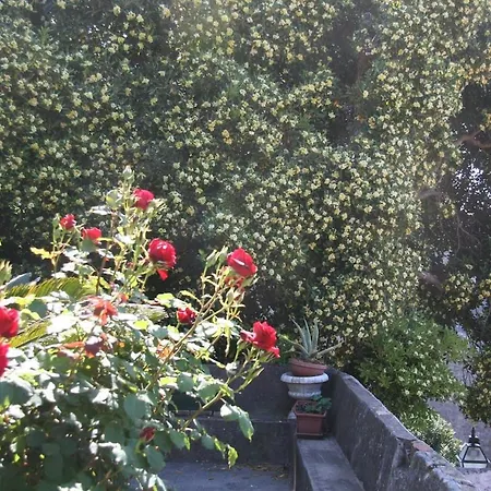 شقة Ivo's Garden Apartment, Near The Old Town دوبروفينك