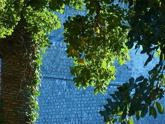 Apartmán Ivo's Garden Apartment, Near The Old Town *