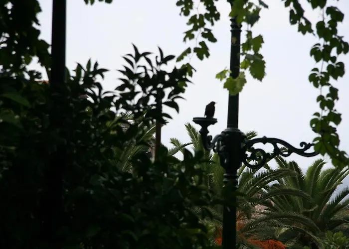 Apartmán Ivo's Garden Apartment, Near The Old Town *