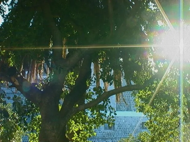 Ivo's Garden Apartment, Near The Old Town * Dubrovnik