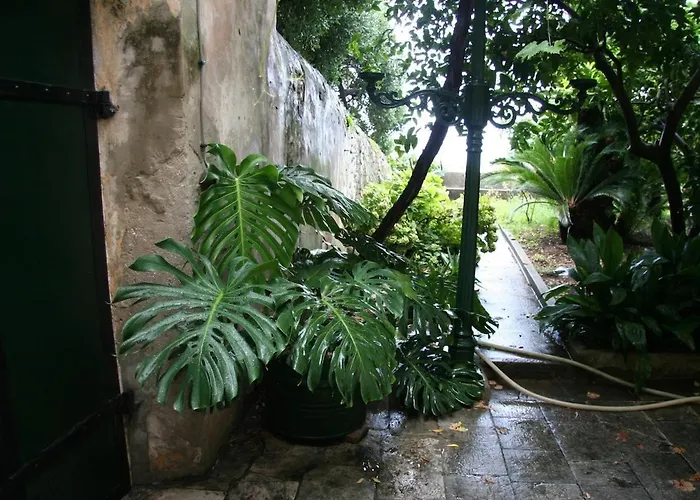 Apartmán Ivo's Garden Apartment, Near The Old Town *