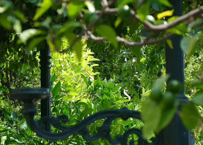 Ivo's Garden Apartment, Near The Old Town *