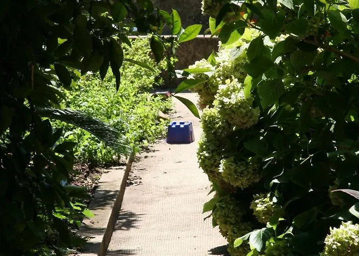 Ivo's Garden Apartment, Near The Old Town Lejlighed