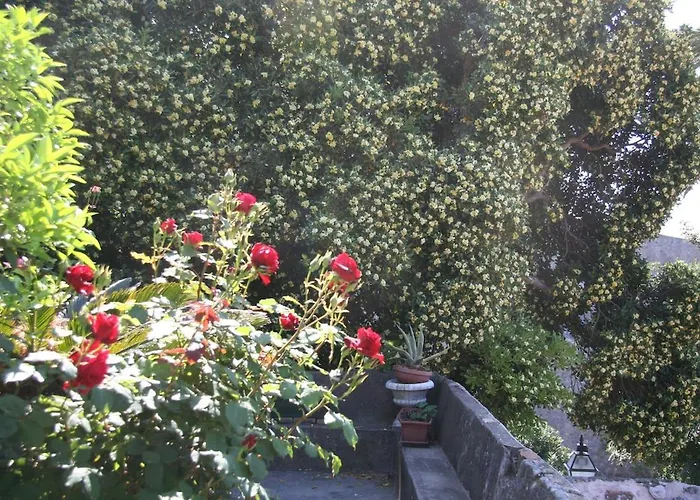Appartamento Ivo's Garden Apartment, Near The Old Town Ragusa