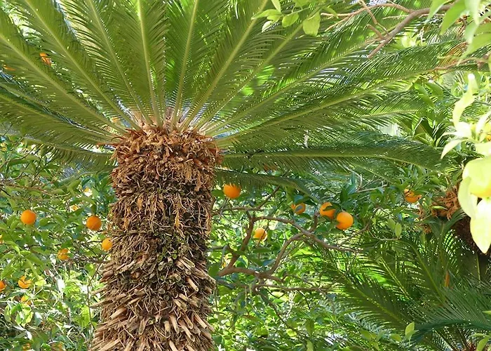 Ivo's Garden Apartment, Near The Old Town Dubrovník