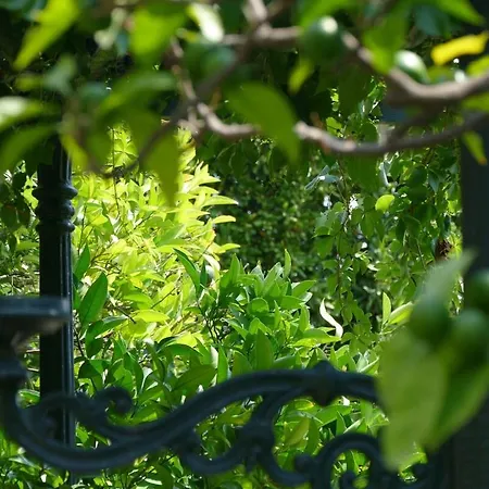 Ivo's Garden Apartment, Near The Old Town *