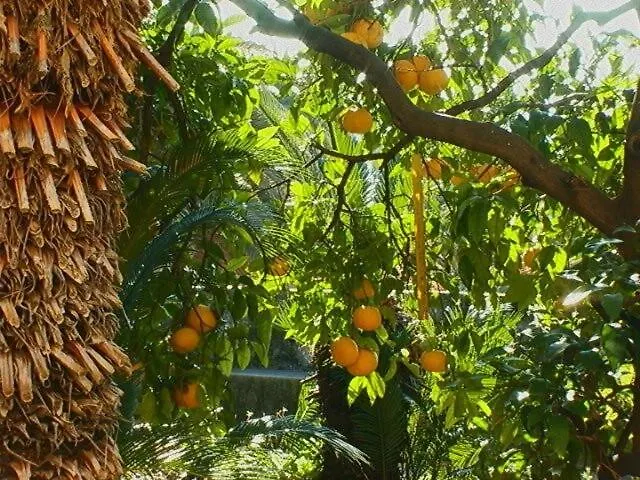 Ivo's Garden Apartment, Near The Old Town 杜布罗夫尼克