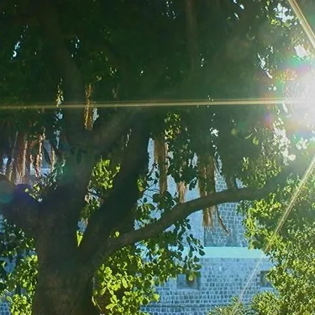 Ivo's Garden Apartment, Near The Old Town * Dubrovnik